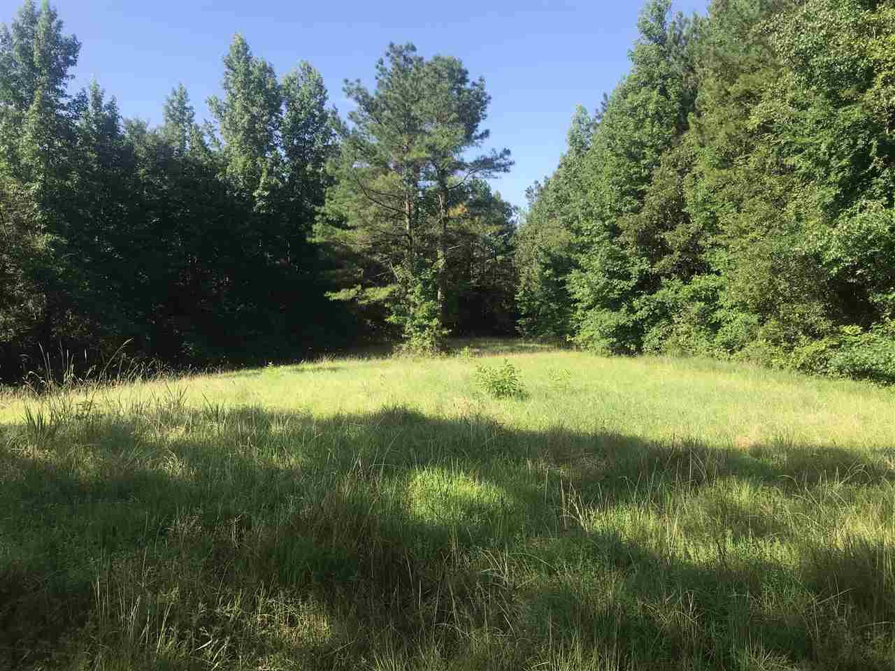 0 Loggins Road Kilmichael, MS 39747 - Photo 1 of 10 Photo 1