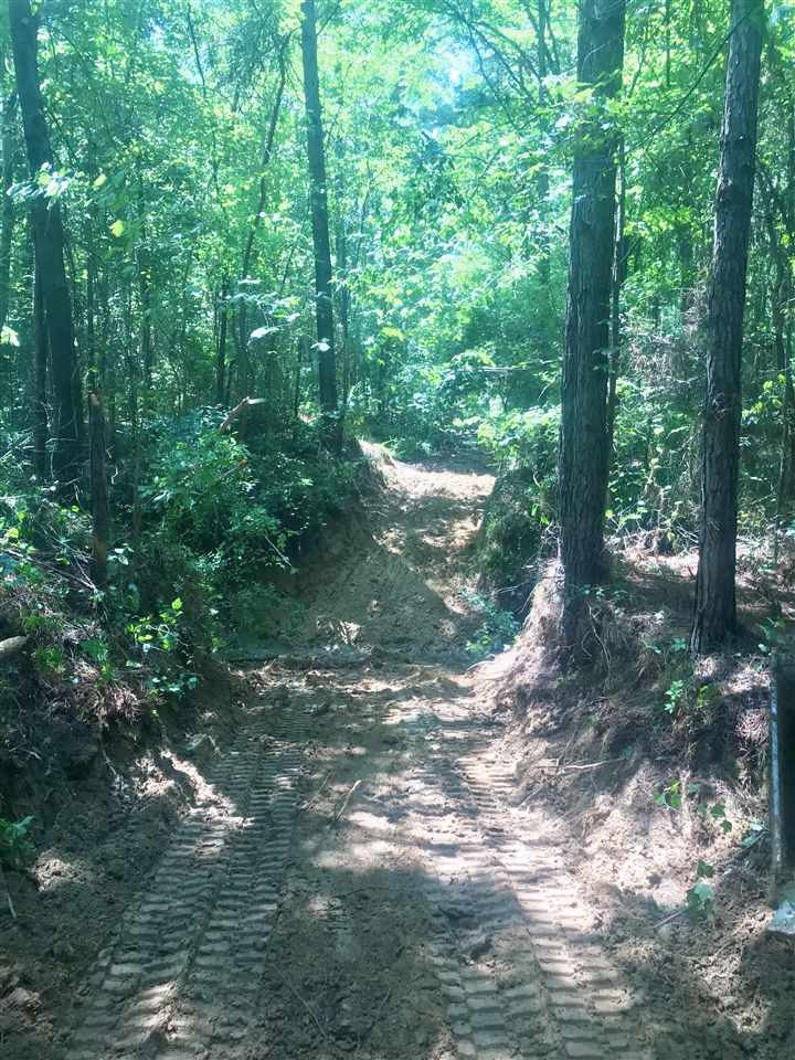 0 Loggins Road Kilmichael, MS 39747 - Photo 4 of 10 Photo 4