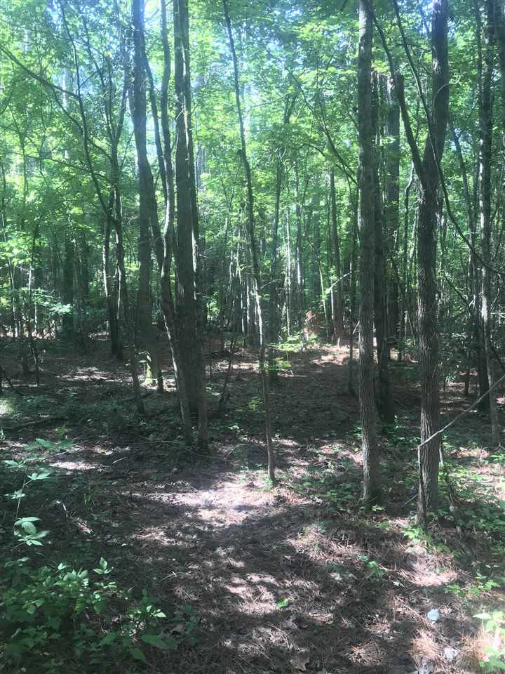 0 Loggins Road Kilmichael, MS 39747 - Photo 5 of 10 Photo 5