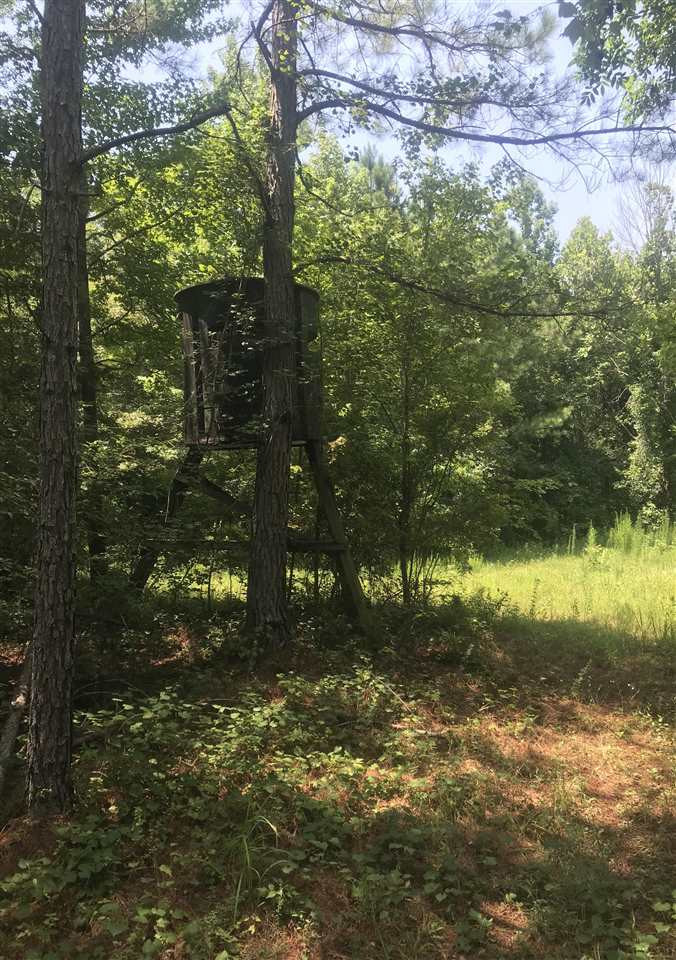 0 Loggins Road Kilmichael, MS 39747 - Photo 6 of 10 Photo 6