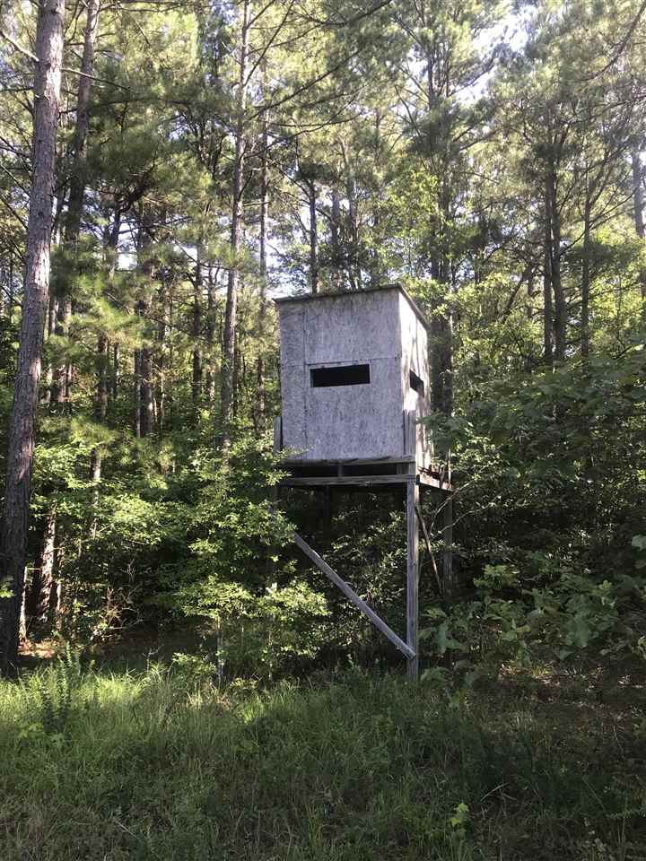 0 Loggins Road Kilmichael, MS 39747 - Photo 8 of 10 Photo 8