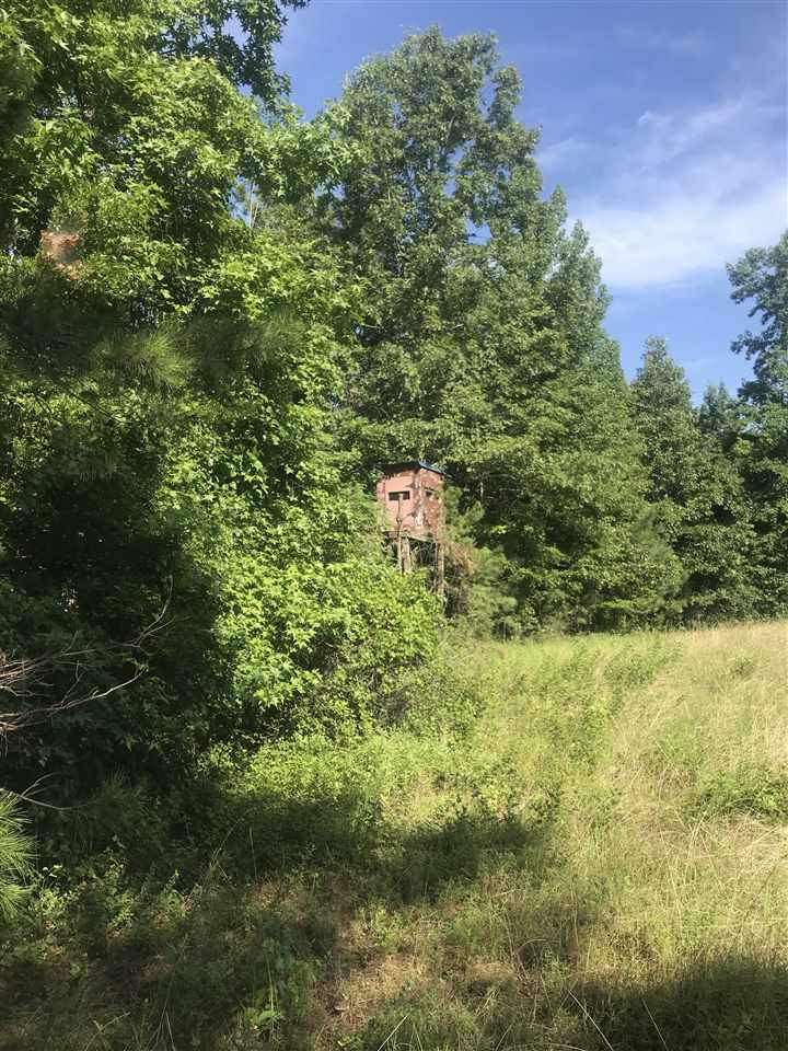 0 Loggins Road Kilmichael, MS 39747 - Photo 9 of 10 Photo 9
