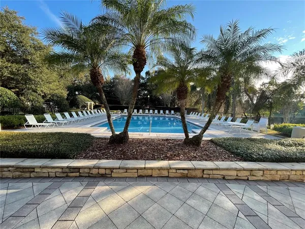 a view of a yard with palm trees