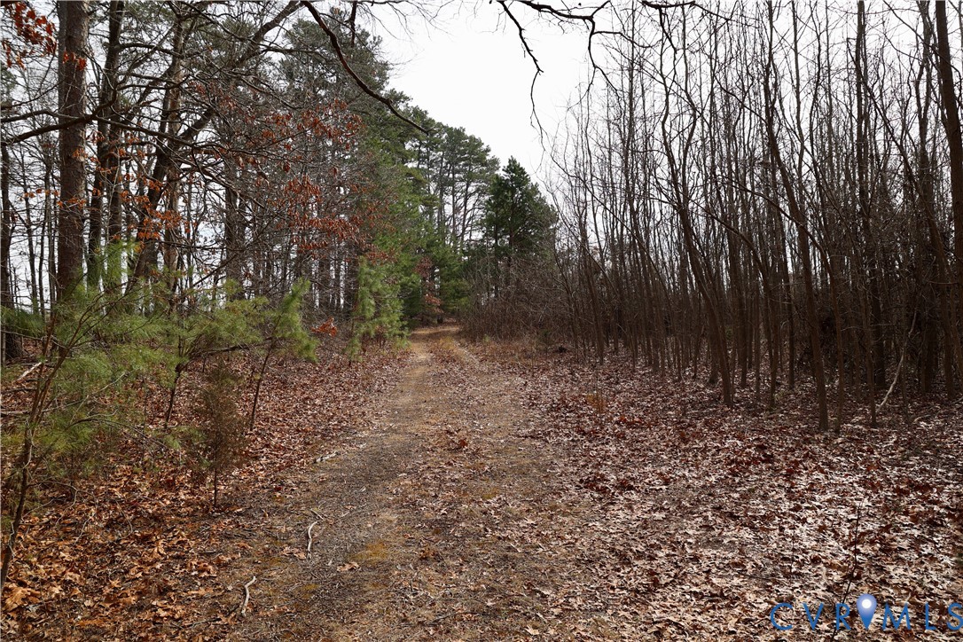 0 West Store Road Nathalie, VA 24577 - Photo 3 of 20 Gallery Image 3