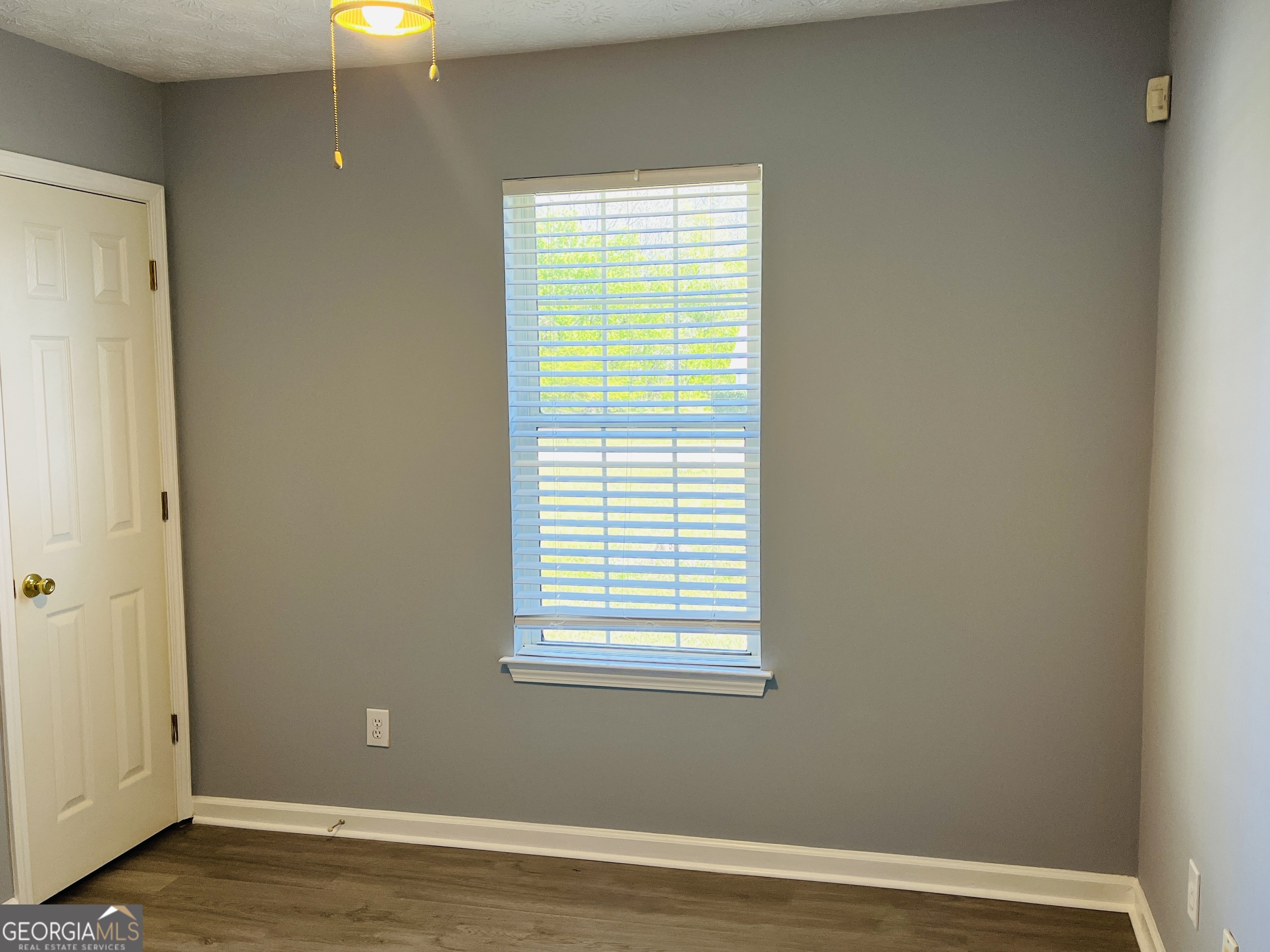 405 Peeks Crossing Drive Senoia, GA 30276 - Photo 15 of 31 an empty room with wooden floor and windows