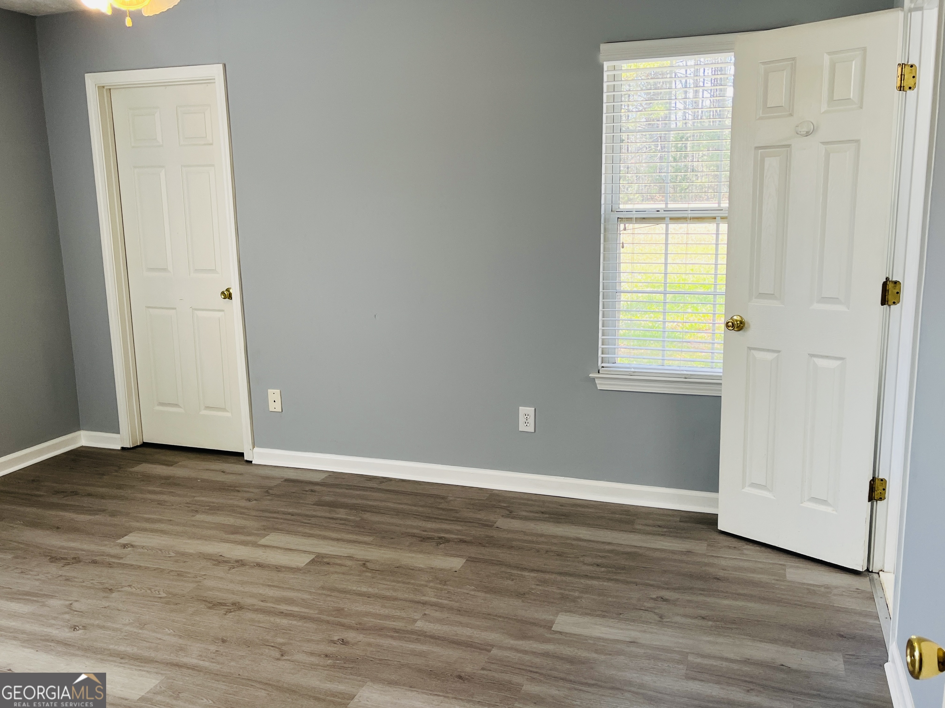 405 Peeks Crossing Drive Senoia, GA 30276 - Photo 20 of 31 an empty room with wooden floor and windows