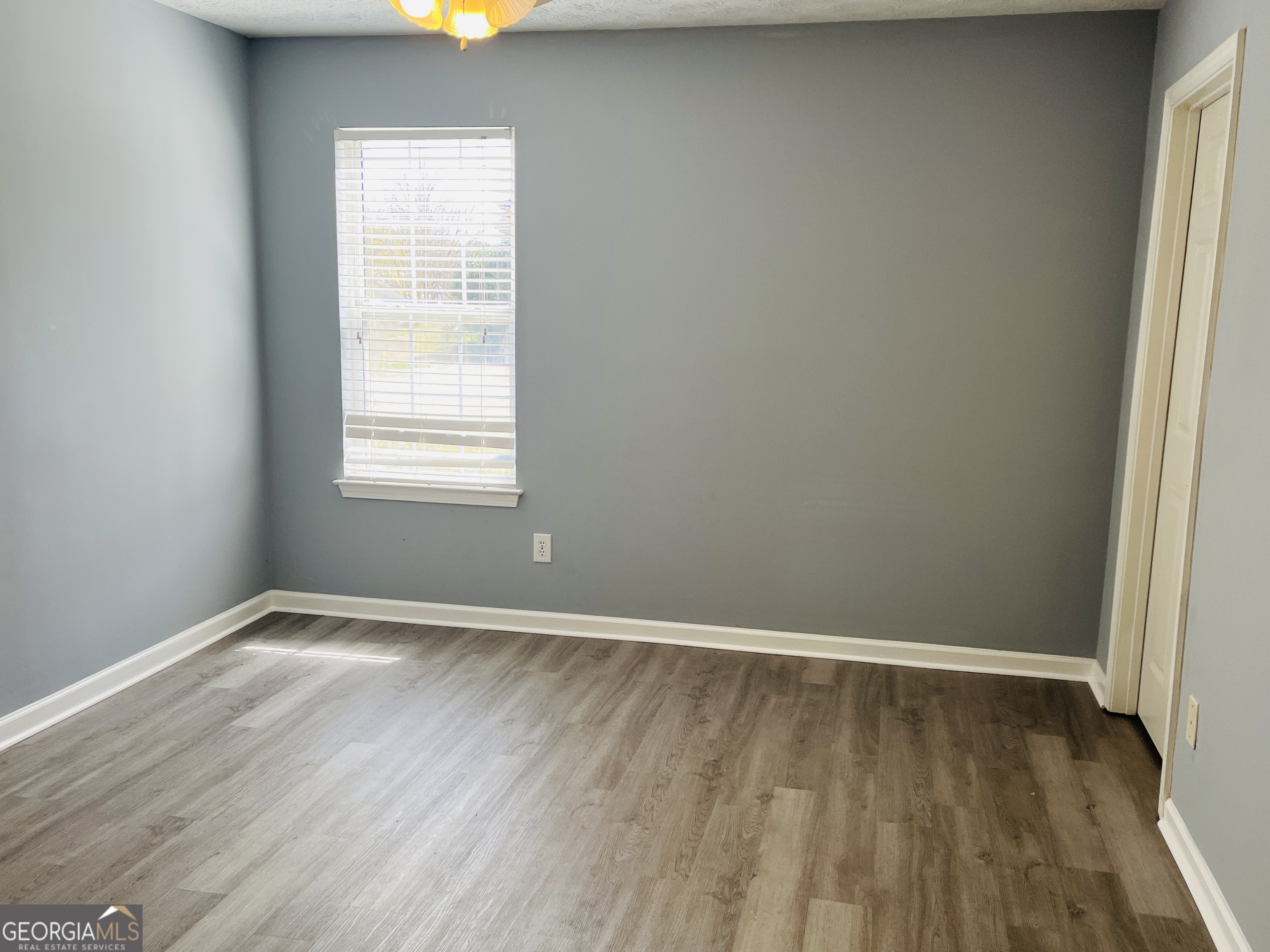 405 Peeks Crossing Drive Senoia, GA 30276 - Photo 21 of 31 an empty room with wooden floor and windows