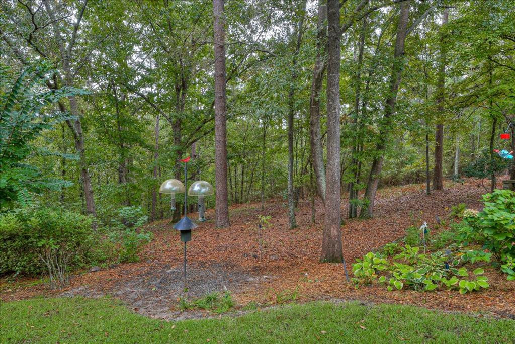 220 Sunderland Road Aiken, SC 29803 - Photo 55 of 60