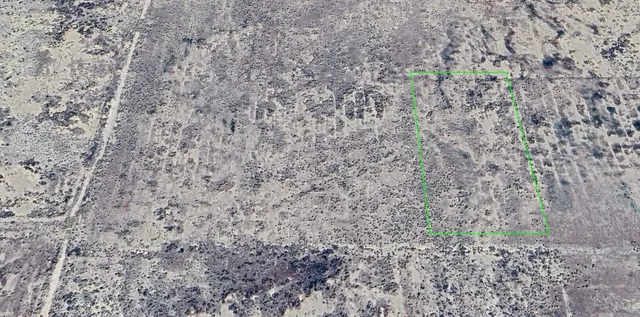 a close up of a field