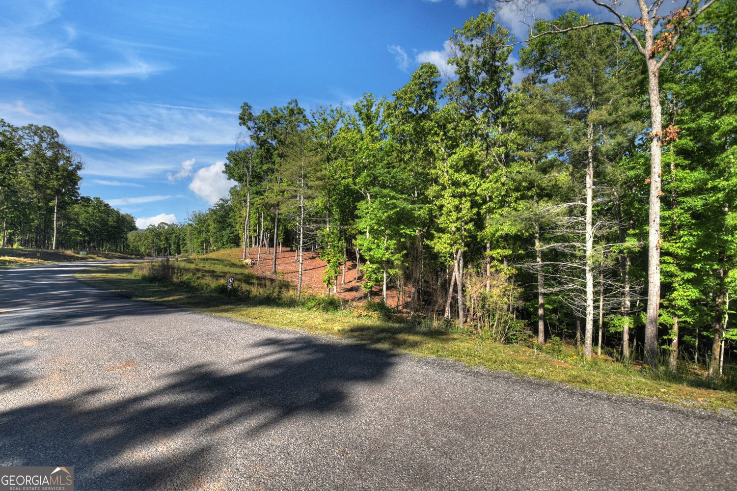 Lot 41 Ridge Drive Morganton, GA 30560 - Photo 25 of 34