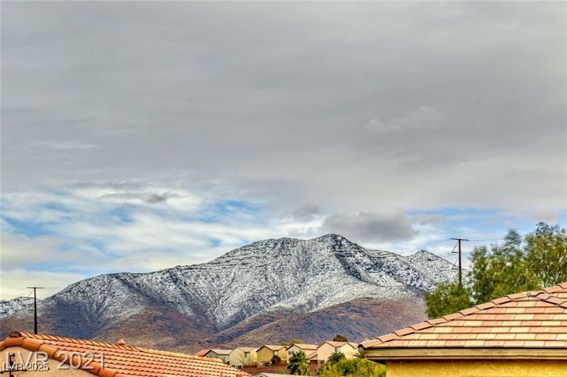 2533 Libberton Street Henderson, NV 89044 - Photo 43 of 43