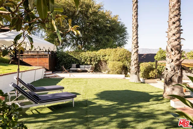 a view of a garden with a tree