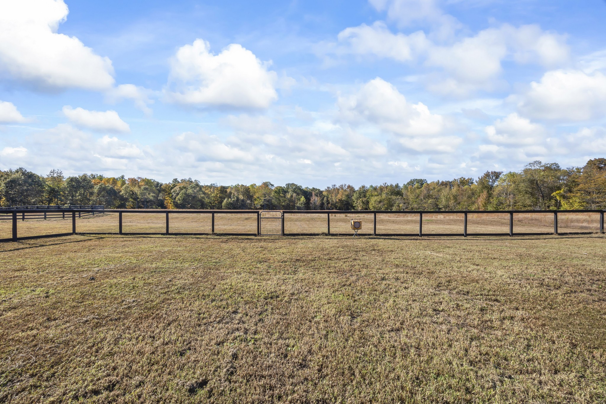 168 Huntersville Denmark Road Denmark, TN 38391 - Photo 40 of 41 a view of outdoor space