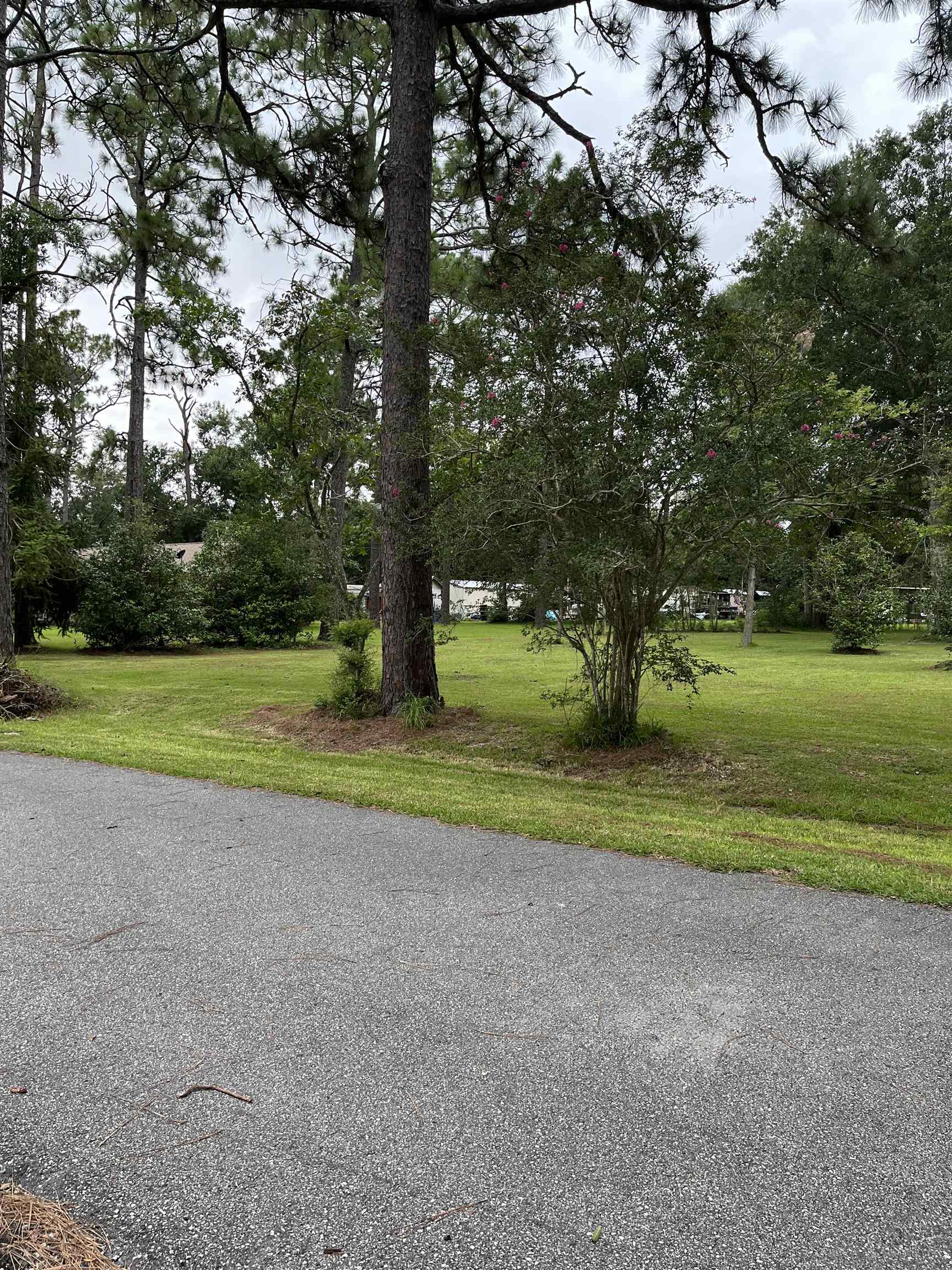 12389 Osborne Drive Foley, AL 36535 - Photo 2 of 4