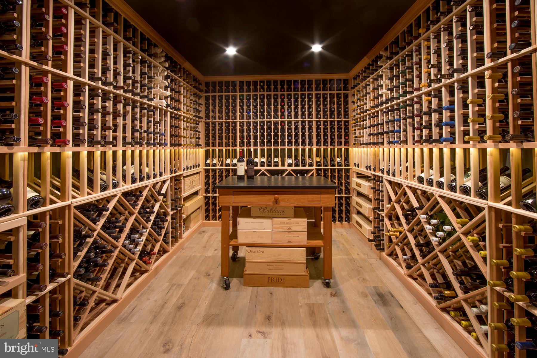 11 Welwyn Road Wayne, PA 19087 - Photo 28 of 35 Wine Cellar