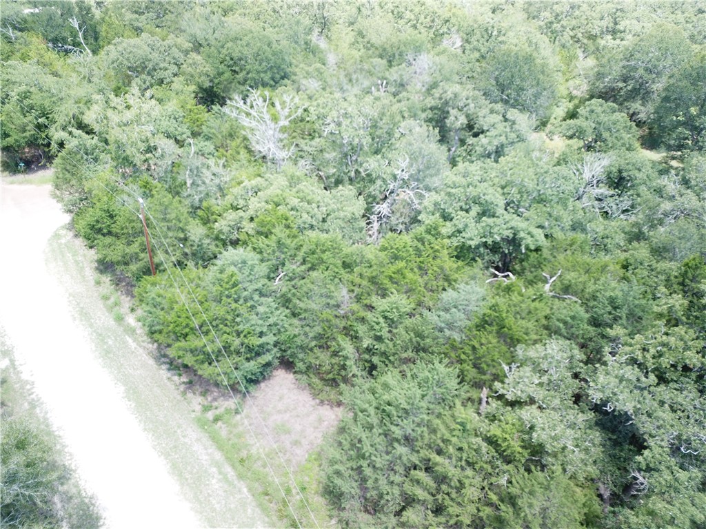 304 Overlook Loop Somerville, TX 77879 - Photo 17 of 17