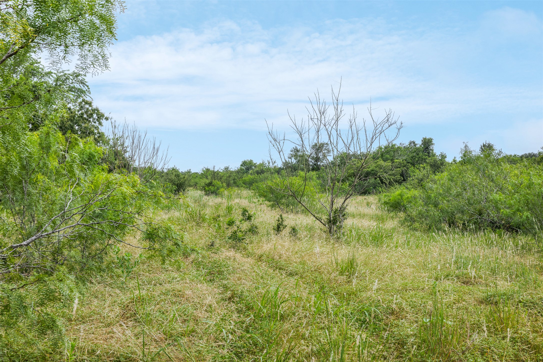 21814 Hogeye Road Manor, TX 78653 - Photo 12 of 37