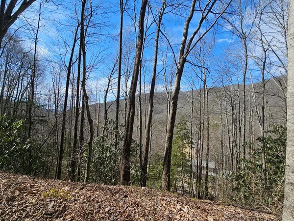 $29,900 | Lot 16 Warrior Way, Andrews, NC 28901