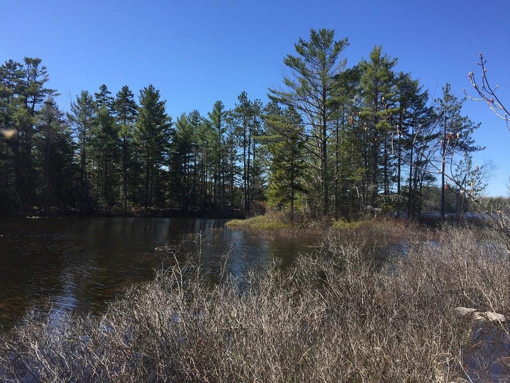 0 Bear Hollow Road Calais, ME 04619 - Photo 12 of 27 Photo