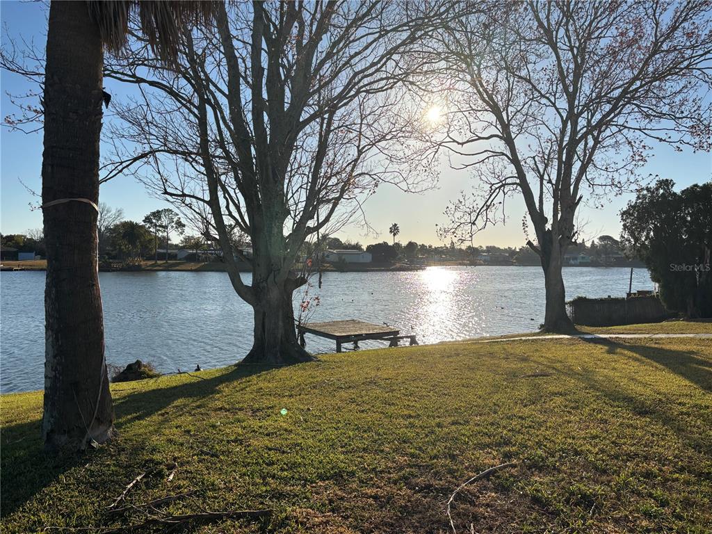 9616 Lake Christina Lane Port Richey, FL 34668 - Photo 2 of 18