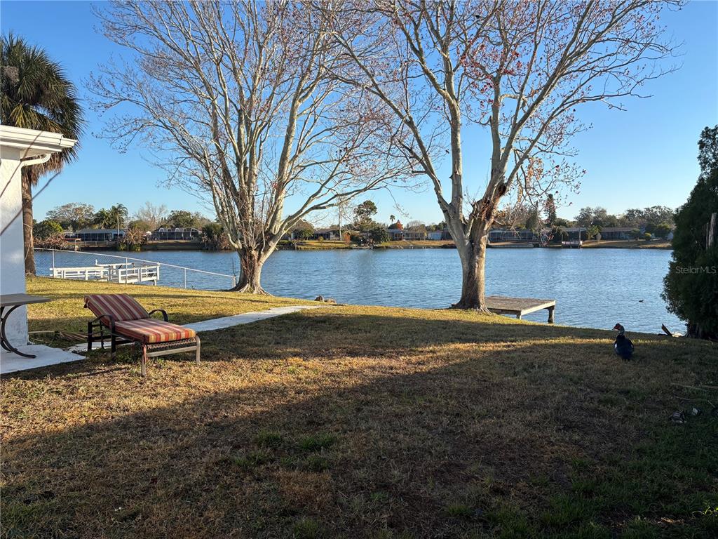 9616 Lake Christina Lane Port Richey, FL 34668 - Photo 4 of 18