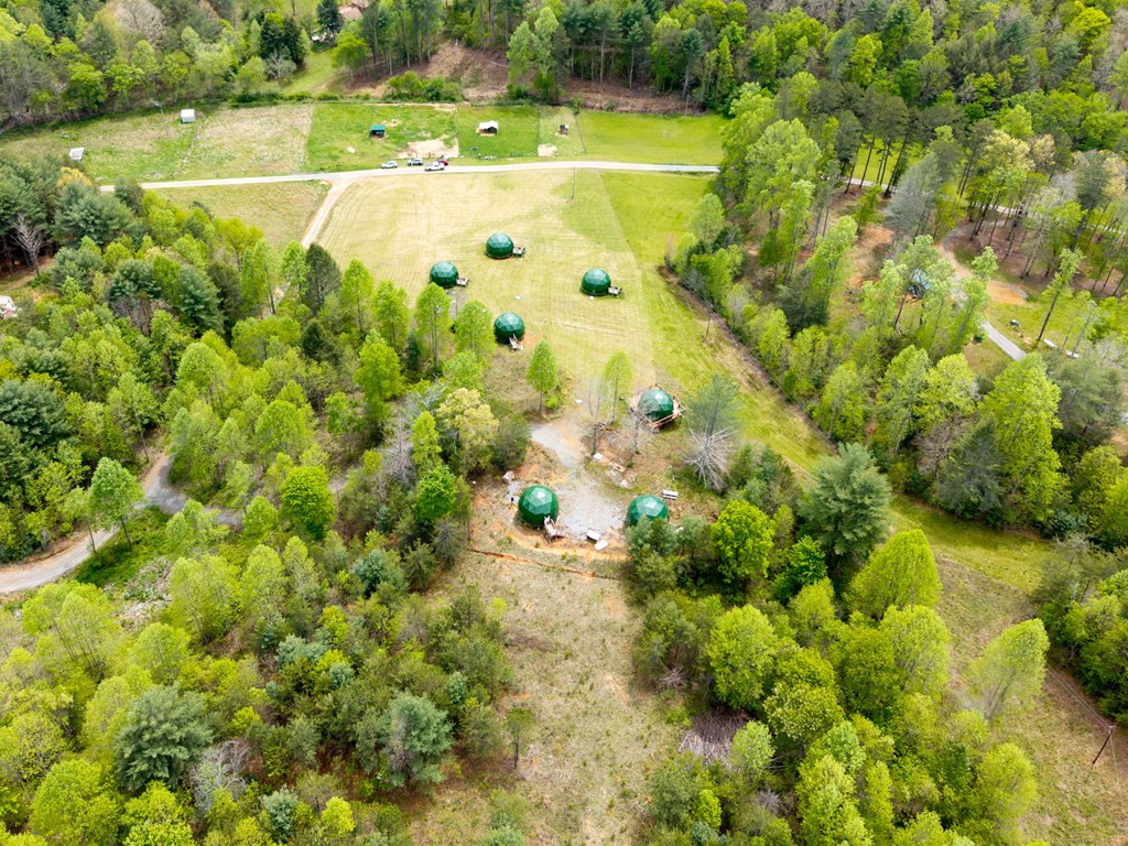 245 Quiet River Road Murphy, NC 28906 - Photo 7 of 17