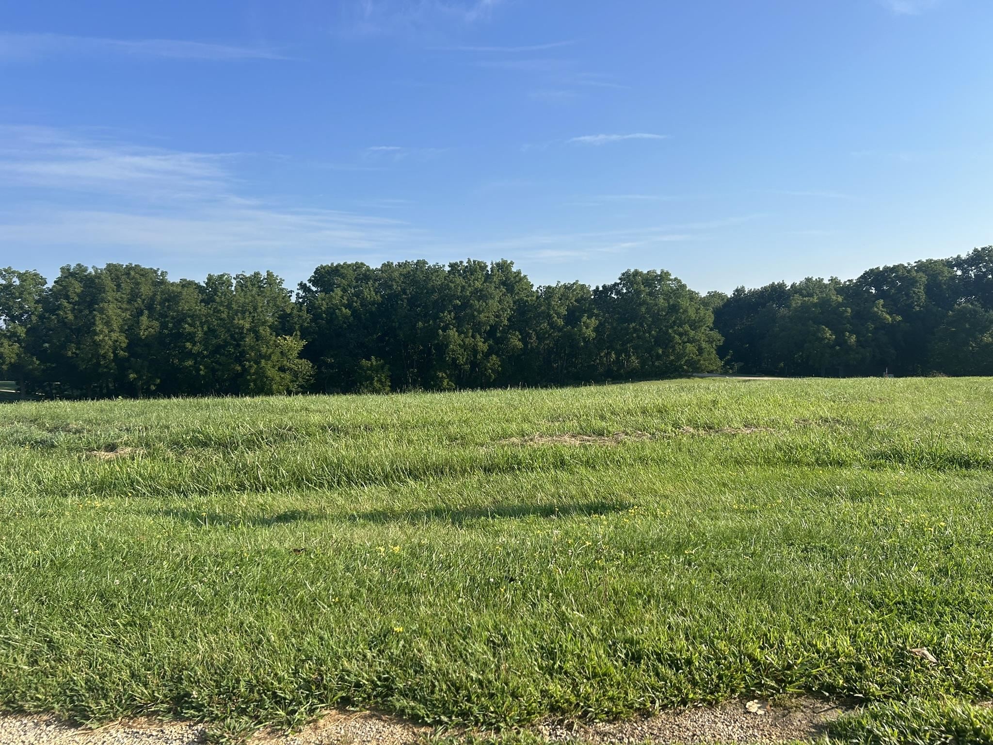 a view of a field with trees in the background