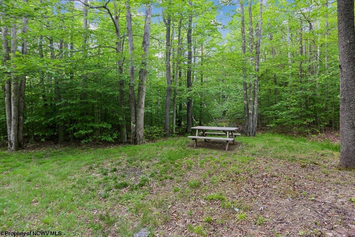 2256 Cabin Mountain Road Davis, WV 26260 - Photo 37 of 43 Gallery Image 37