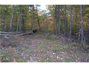 0 Borough Road Pembroke, NH 03275 - Photo 2 of 4