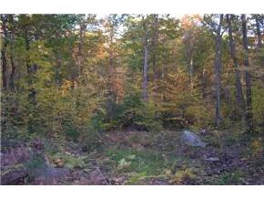 0 Borough Road Pembroke, NH 03275 - Photo 3 of 4