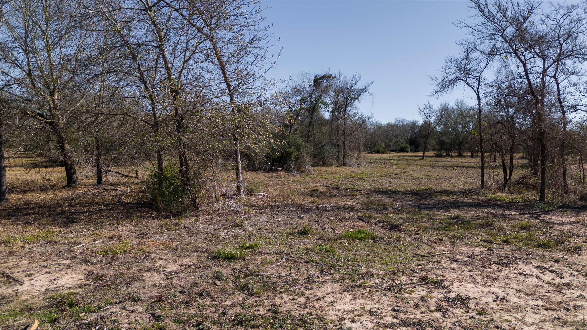 2 Wallace Road Midway, TX 75852 - Photo 6 of 10 a view of dirt yard with trees
