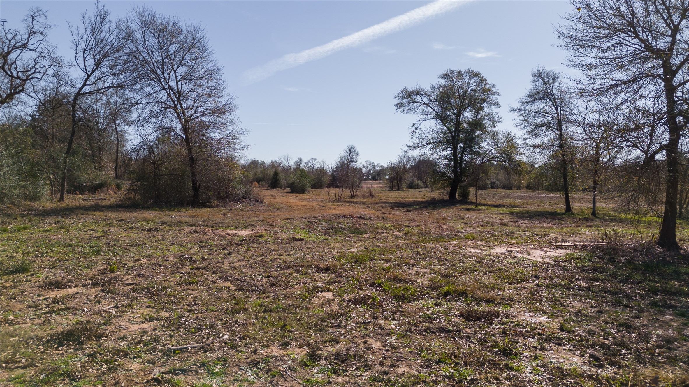 2 Wallace Road Midway, TX 75852 - Photo 7 of 10 a view of dirt field with trees