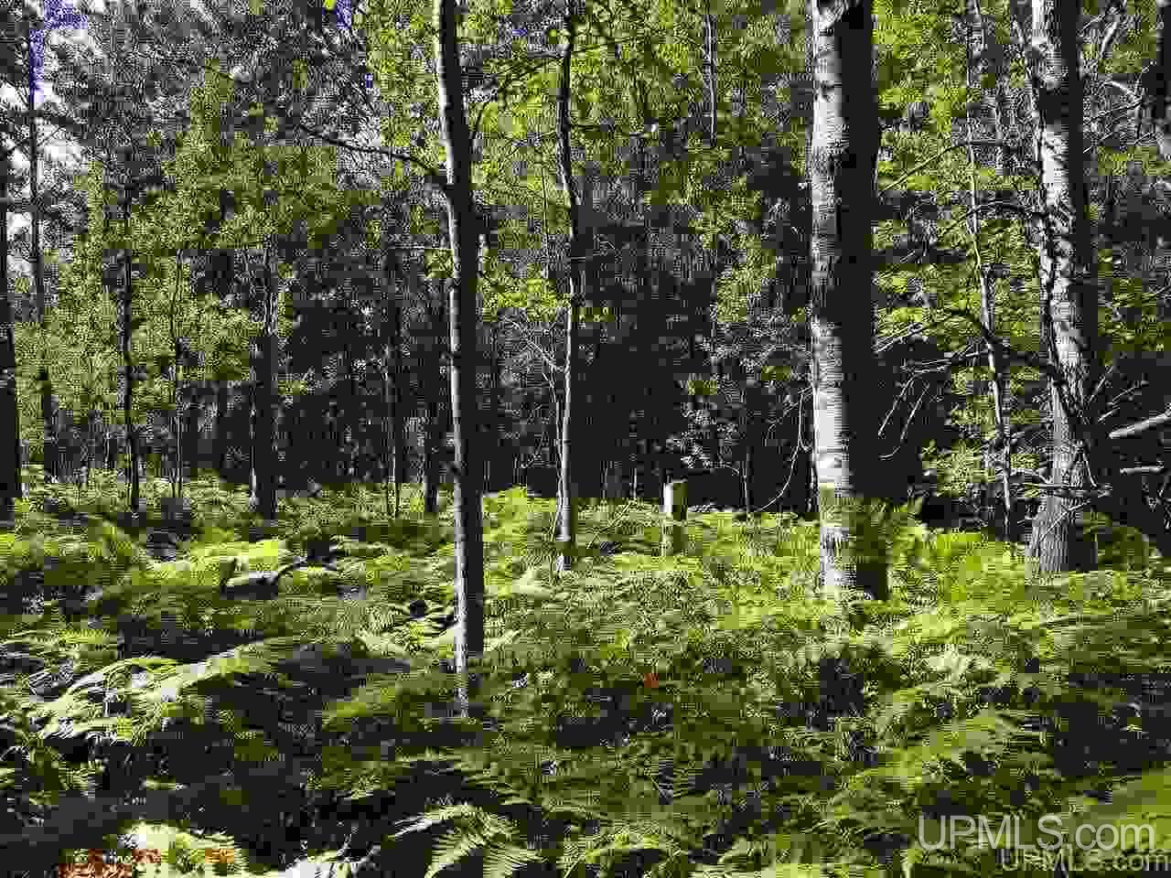 Tbd Freda Road Atlantic Mine, MI 49905 - Photo 7 of 17