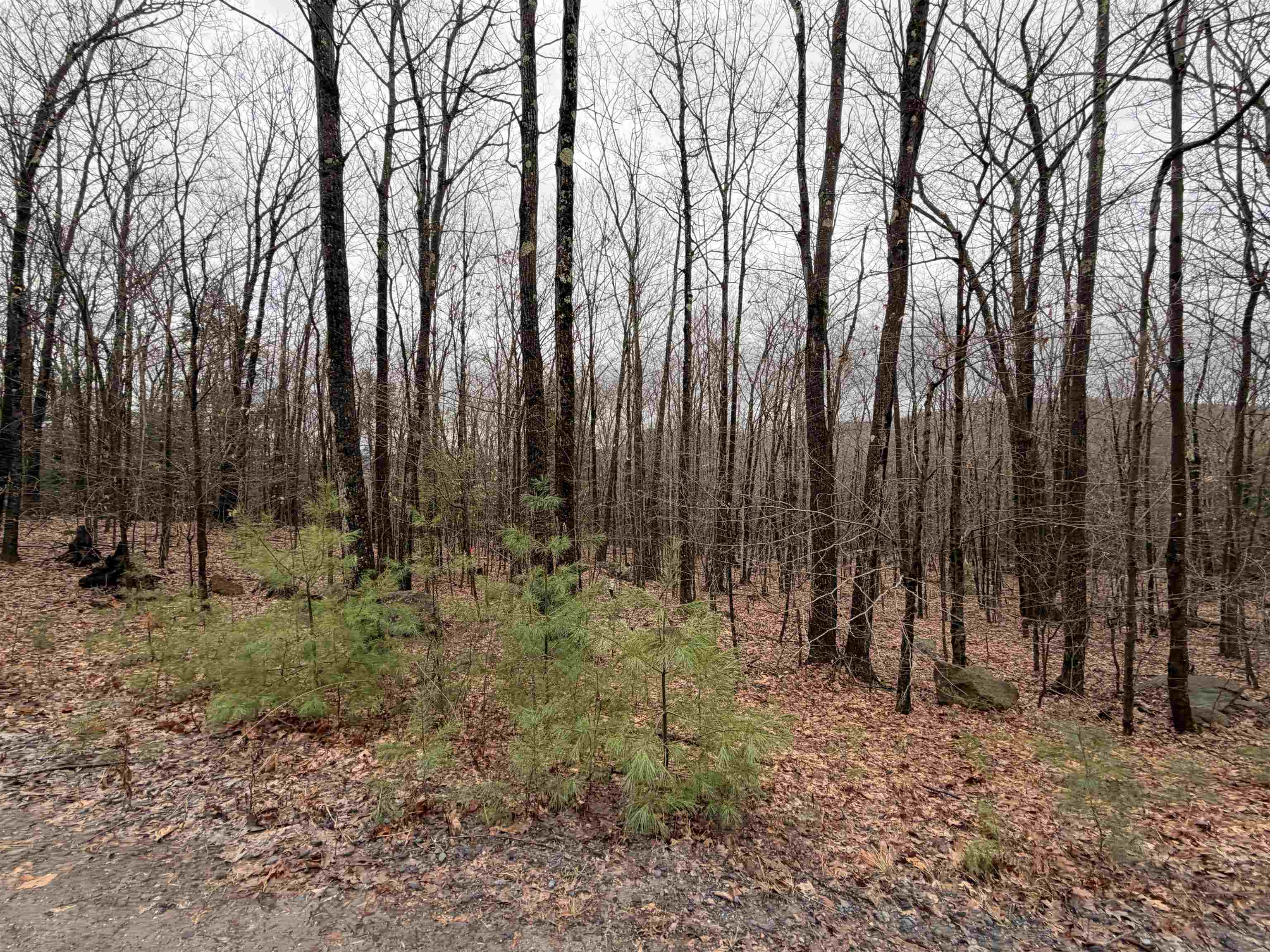 0 Old Walpole/valley View Road Keene, NH 03431 - Photo 6 of 23