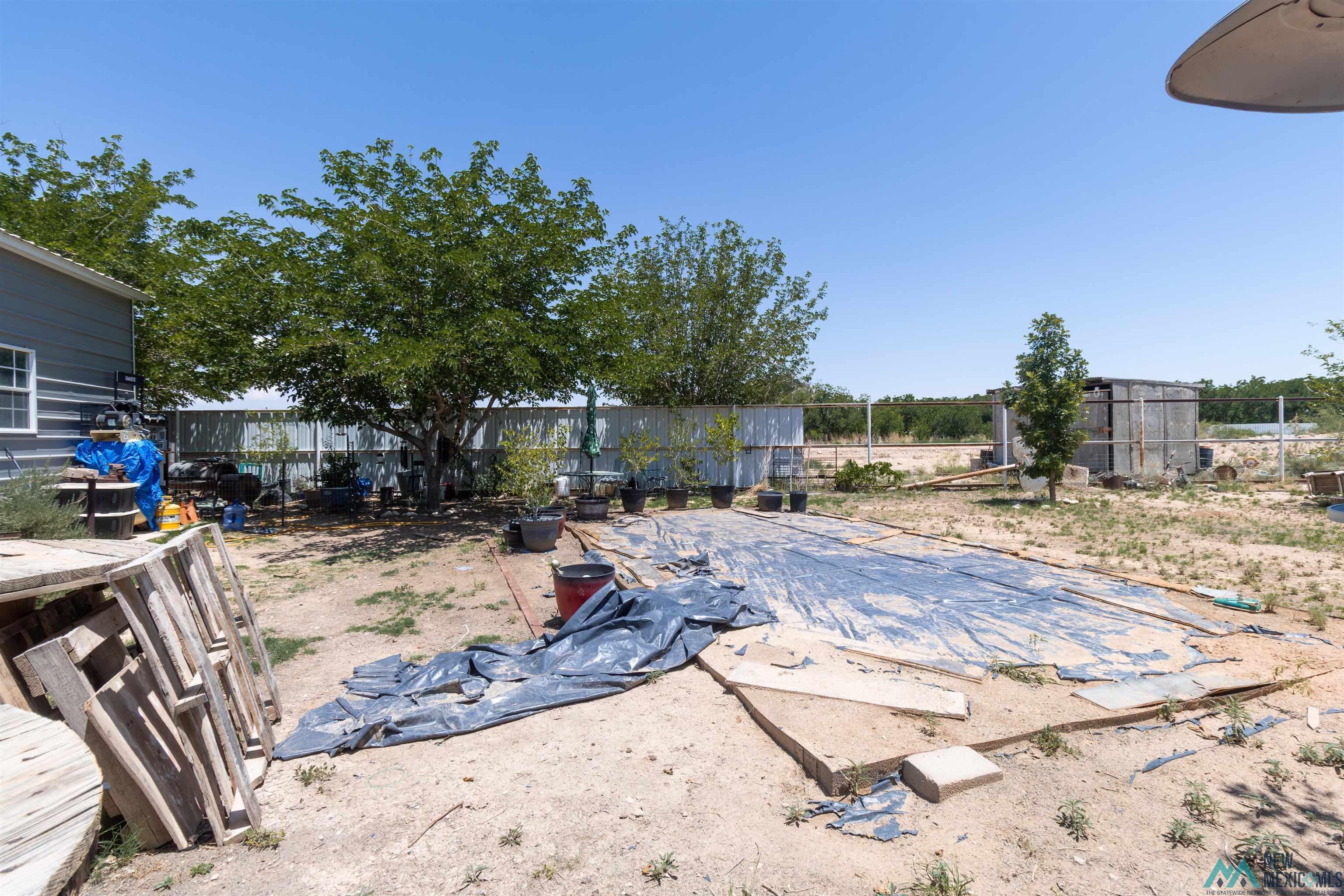 1509 Papershell Road Carlsbad, NM 88220 - Photo 39 of 47 Yard