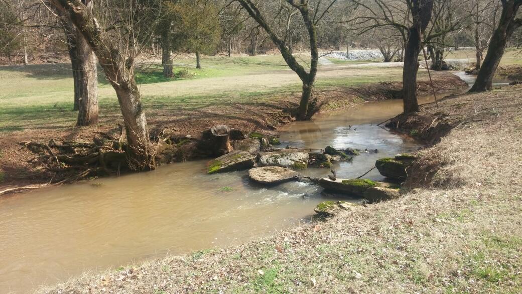 101 Jackson Ferry Road Greenback, TN 37742 - Photo 2 of 36 Creek with Year Round Water
