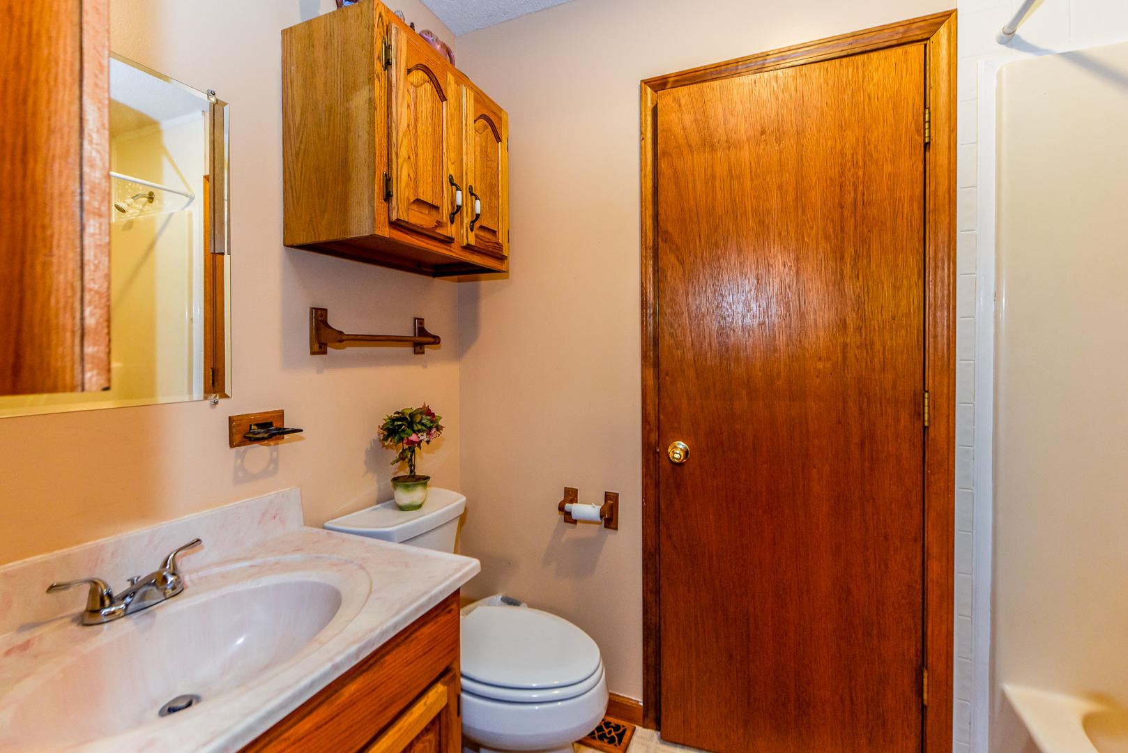 101 Jackson Ferry Road Greenback, TN 37742 - Photo 21 of 36 Jack-N-Jill Bath