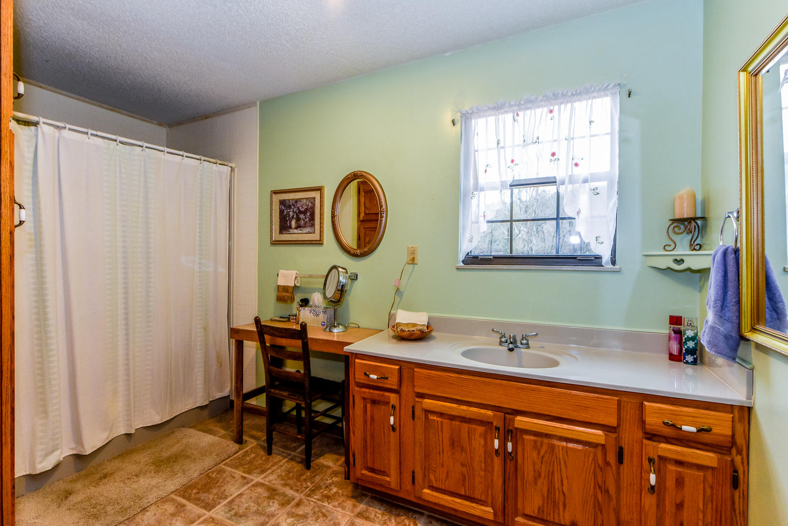 101 Jackson Ferry Road Greenback, TN 37742 - Photo 23 of 36 Spacious Master Bath...