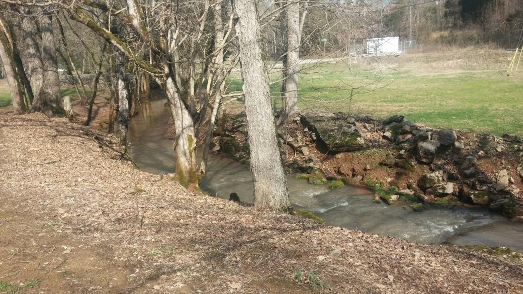 101 Jackson Ferry Road Greenback, TN 37742 - Photo 35 of 36 Creek