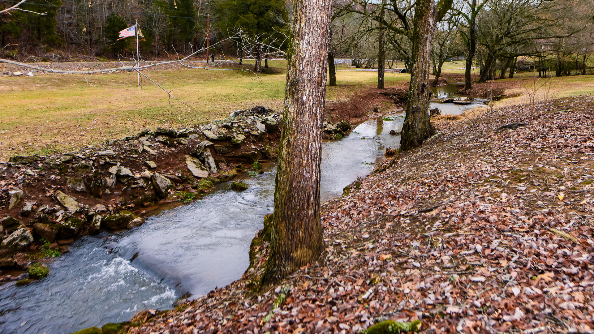 101 Jackson Ferry Road Greenback, TN 37742 - Photo 36 of 36 Thank You for Viewing!