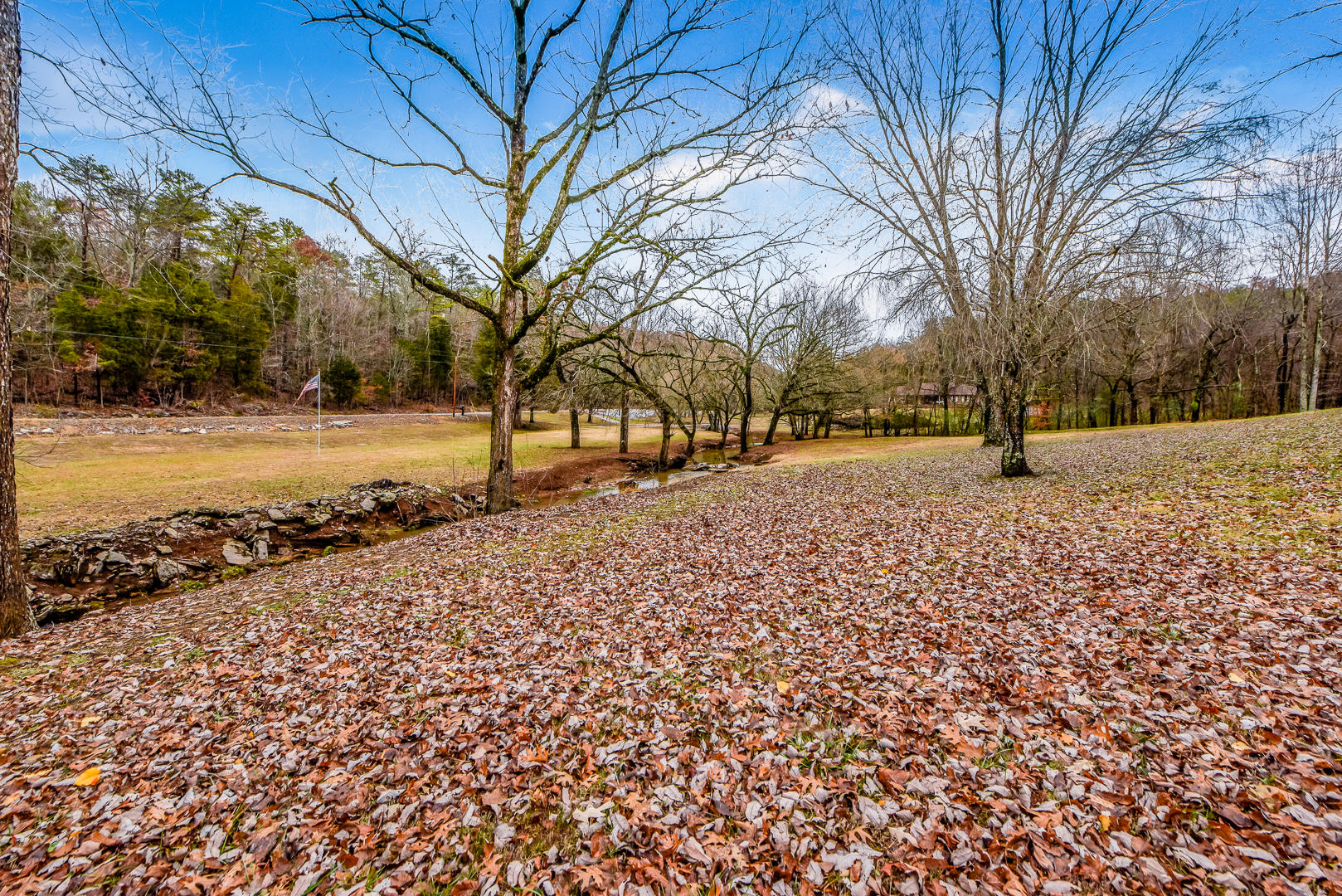 101 Jackson Ferry Road Greenback, TN 37742 - Photo 8 of 36 Good Road Frontage
