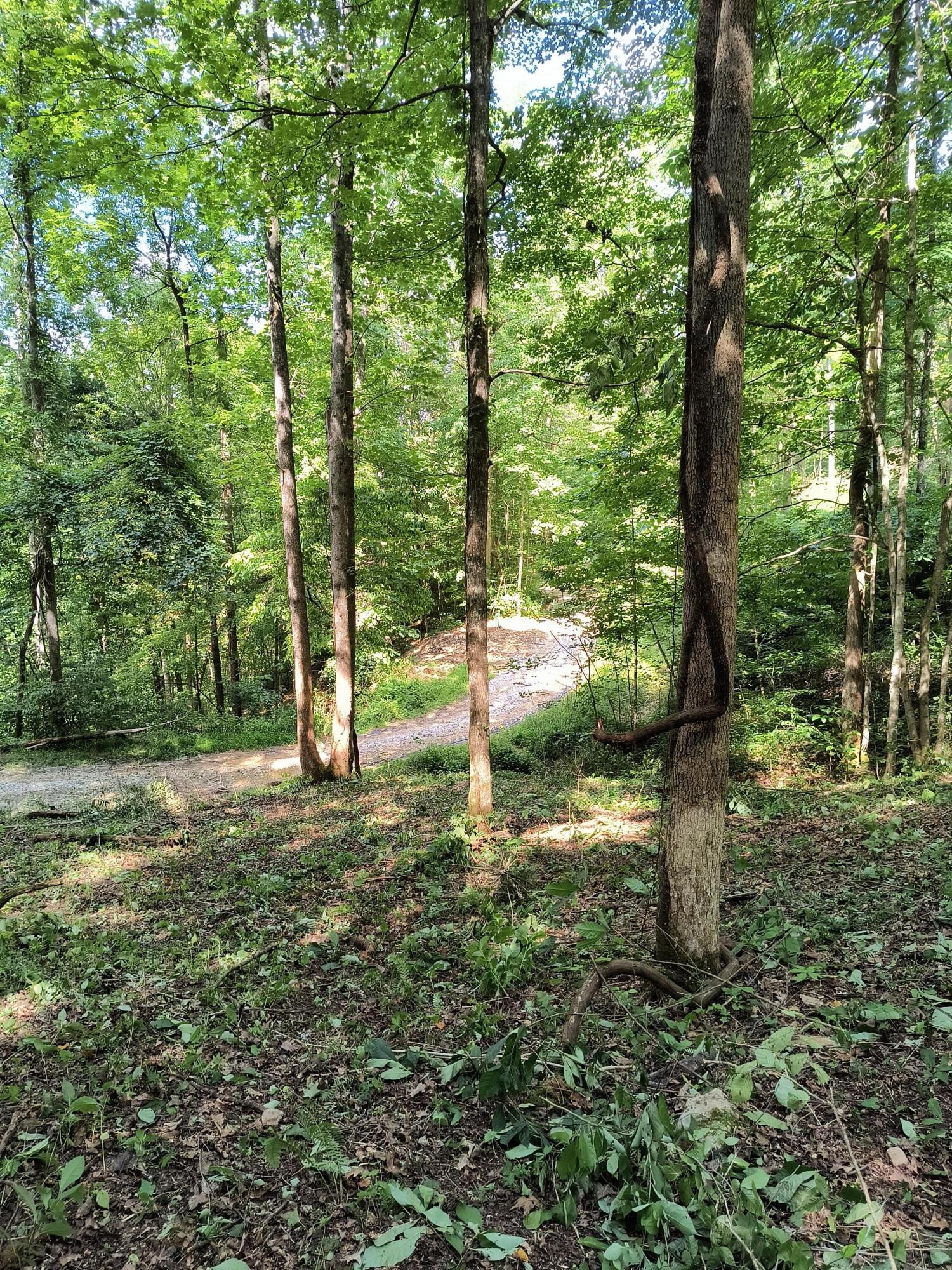 0 Birch Hollow Road, Unit 10 PHASE 2 Stanton, KY 40380 - Photo 4 of 10 IMG_20230811_160459243