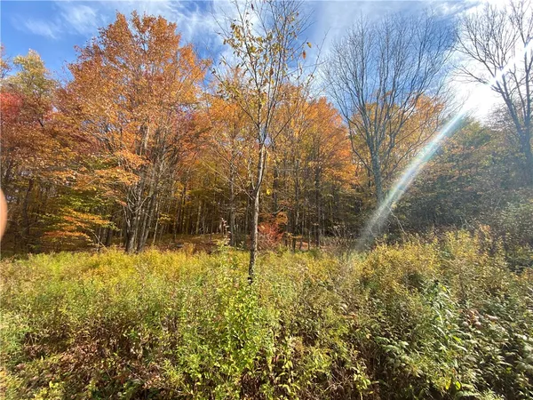 $145,000 | 535 Scutt Mountain Road, Stamford, NY 13739