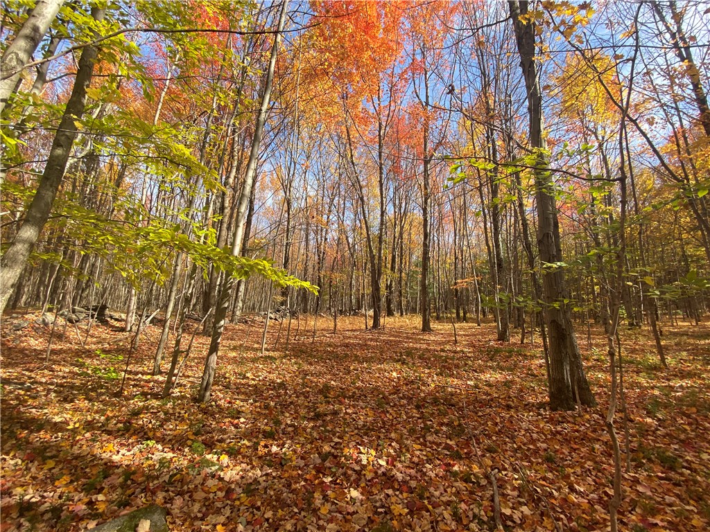 535 Scutt Mountain Road Stamford, NY 13739 - Photo 2 of 8