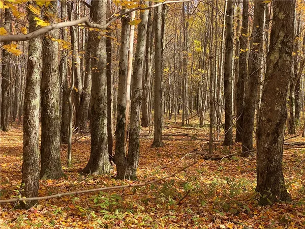 $145,000 | 535 Scutt Mountain Road, Stamford, NY 13739