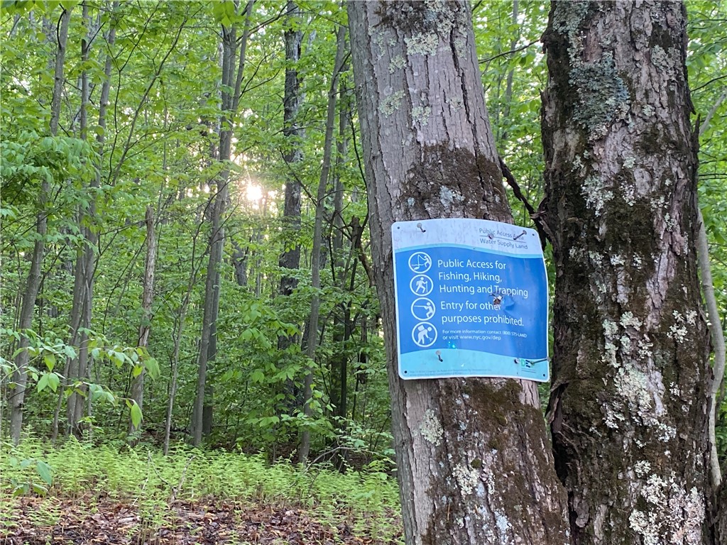 535 Scutt Mountain Road Stamford, NY 13739 - Photo 4 of 8