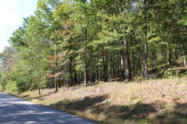 1282 Haynes Knob Road Somerset, KY 42501 - Photo 5 of 7 5
