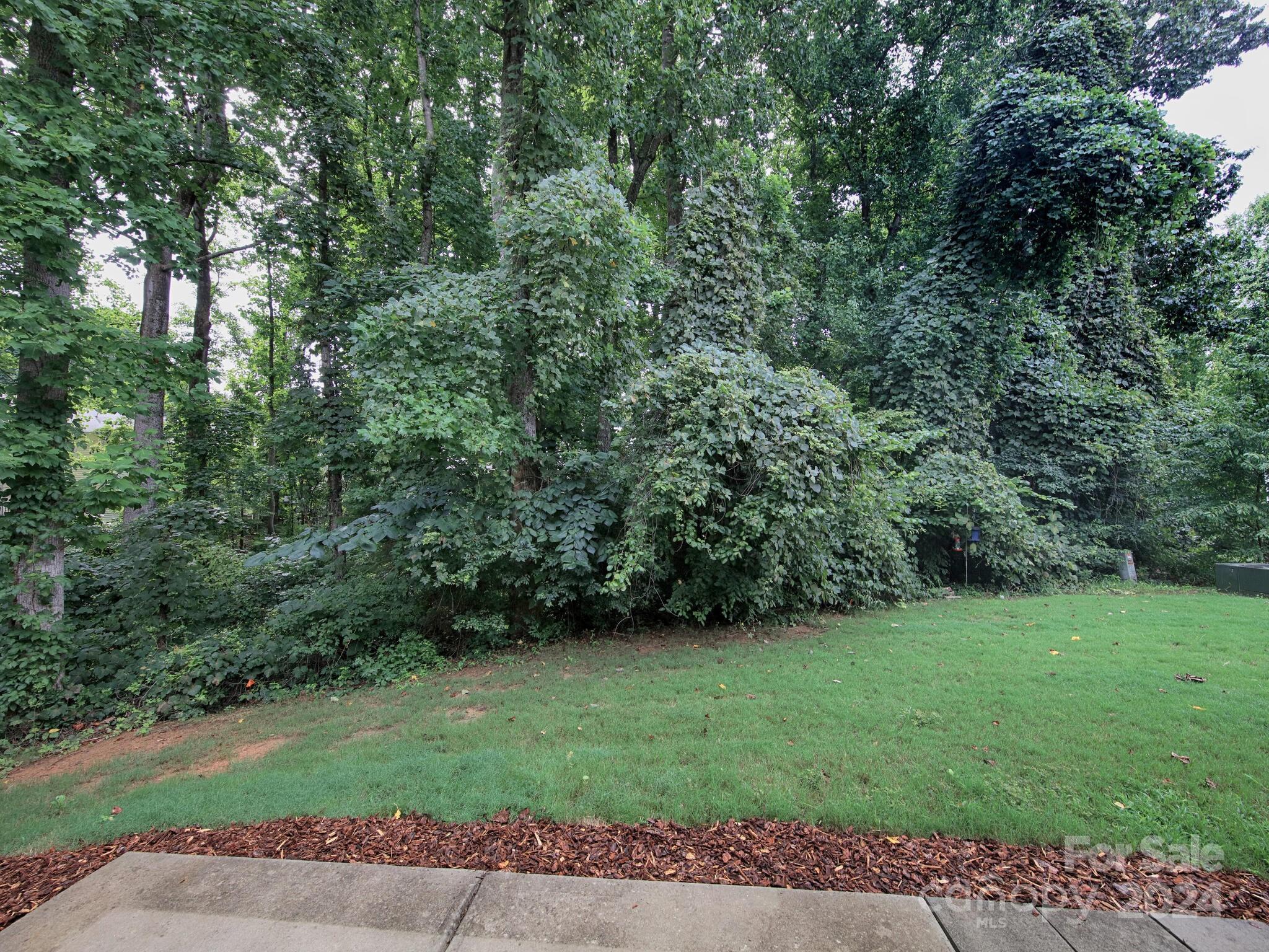 162 Limerick Road, Unit B Mooresville, NC 28115 - Photo 40 of 42 Gallery Image 40