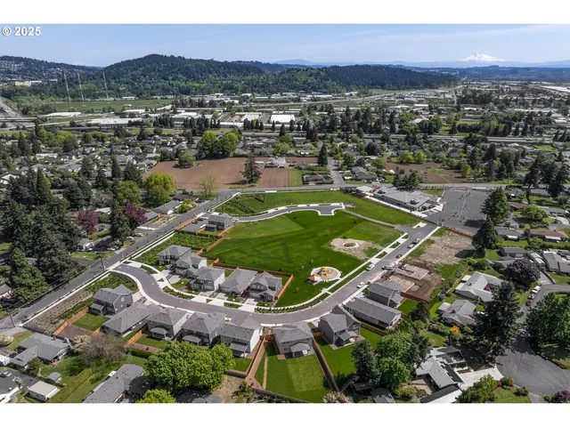 an aerial view of residential houses with outdoor space and trees