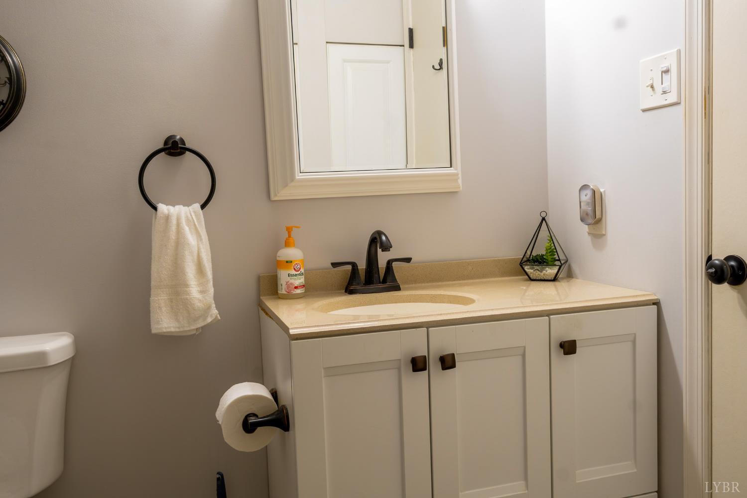 14611 Leesville Road Evington, VA 24550 - Photo 15 of 30 a bathroom with a sink vanity and toilet